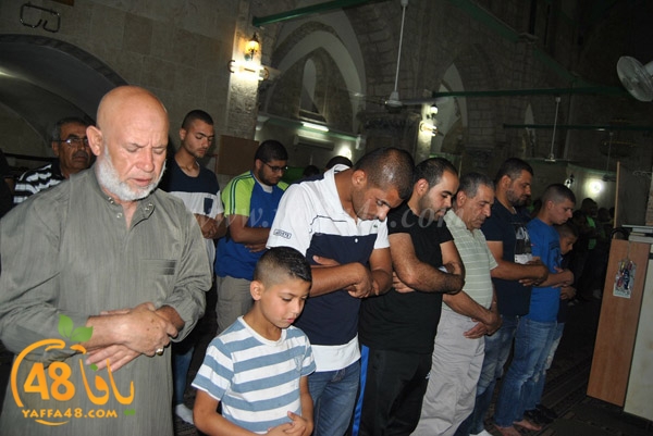 tarawe7 ramlaj (1).JPG